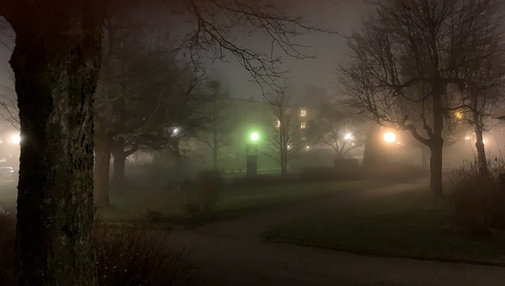 Stig i park vid skymning och dimma.